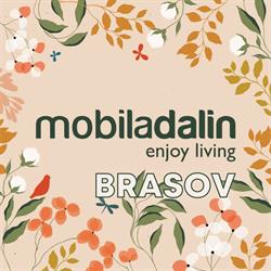 MobilaDalin Brasov, Hărman program de funcționare