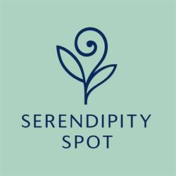 Serendipity Spot, Bucureşti program de funcționare
