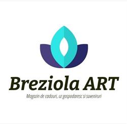 Breziola ART, Drobeta-Turnu Severin program de funcționare