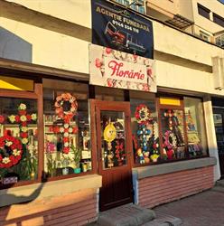 Floraria nicolas, Buhuşi program de funcționare
