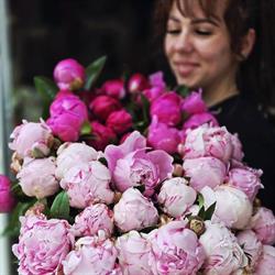 Floraria Szidy Flora Virágbolt, Târgu Mureş program de funcționare