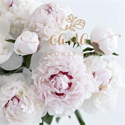 Oana Flower Shop, Timişoara program de funcționare