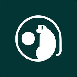Jungle Pub Caffe, Năvodari program de funcționare