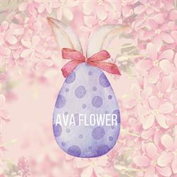Ava Flower, Brăila program de funcționare
