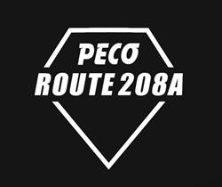 PECO "Route 208 A", Liteni program de funcționare