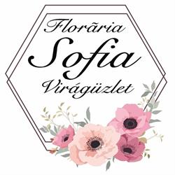 Florăria Sofia Virágüzlet, Satu Mare program de funcționare
