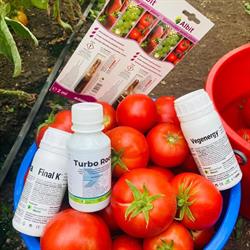 FITOFARMACIA SMART AGRO, Dâlga program de funcționare