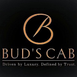 Bud'S Cab Bucharest Chauffeur & Airport Transfer, program de funcționare