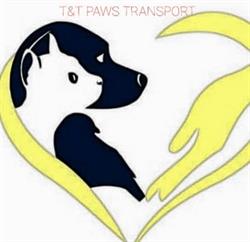 T&T PAWS TRANSPORT, Timişoara program de funcționare
