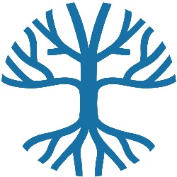 AOM World Marketing, Timişoara program de funcționare