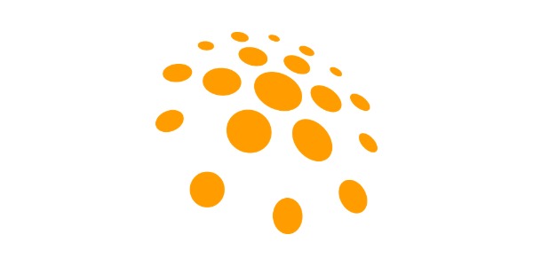 NOBS Consulting, Deva program de funcționare