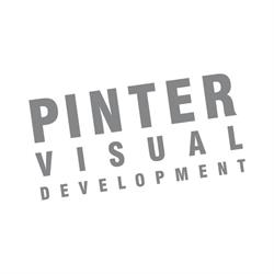 Pinter Visual, Baia Mare program de funcționare