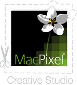 SC Macpixel SRL, Timişoara program de funcționare