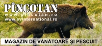 S.v. International SRL în Arad, Aradul Nou - program de funcționare