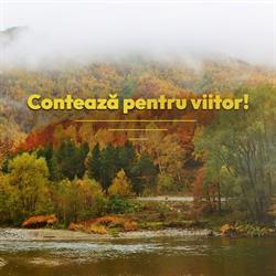 Directia Silvica Arges, Piteşti program de funcționare