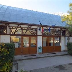 Club Sportiv Scolar Bega Timisoara, program de funcționare