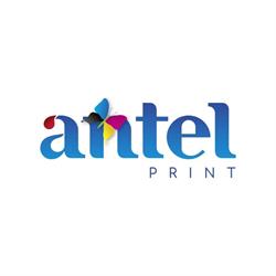 Antel Print S.R.L., Alba Iulia program de funcționare