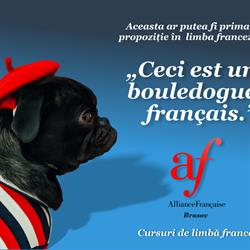 Alianta Franceza Brasov, program de funcționare