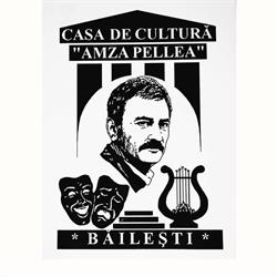 Casa de Cultura Amza Pelea Bailesti, program de funcționare