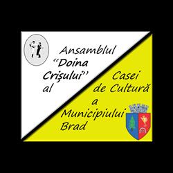 Ansamblul Doina Crisului Brad, program de funcționare