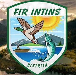 Fir Intins SRL, Bistriţa program de funcționare
