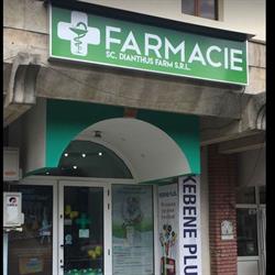 Dianthus Farm S.r.l, Piteşti program de funcționare