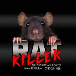 S.C. LAVALENT PEST CONTROL S.R.L., Piteşti program de funcționare