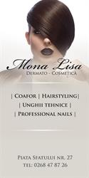 Mona Lisa Srl, Braşov program de funcționare