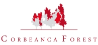 Marr Capital S.r.l în Baloteşti, Corbeanca Forest - program de funcționare