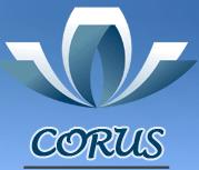 Corus S.r.l, Codlea program de funcționare