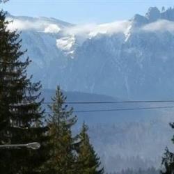Telegraf Tours S.r.l, Braşov program de funcționare