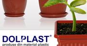 Dolplast SRL, Craiova program de funcționare