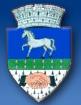 Administraţia Domeniului Public Sector 1 în Bucureşti, Sectorul 1 - program de funcționare