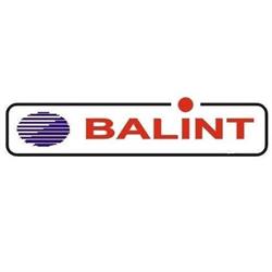 Service Auto Balint, Carei program de funcționare