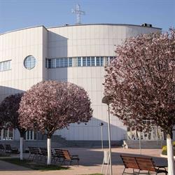 Biserica Baptista Emanuel Oradea, program de funcționare