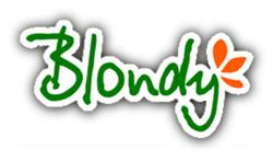 BLONDY ROMANIA srl, Târgu Mureş program de funcționare