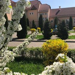 Casa Judeteana de Pensii Bistrita Nasaud, program de funcționare