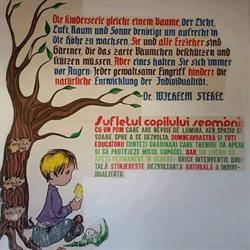 Centrul de Plasament Cisnadie, program de funcționare