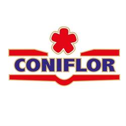 Coniflor S.r.l, Gurghiu program de funcționare