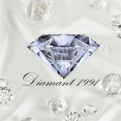 Diamant SRL, Satu Mare program de funcționare