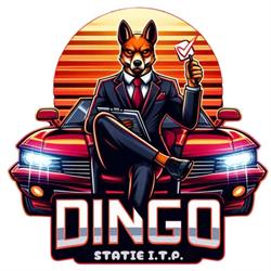 Dingo ITP, Suceava program de funcționare
