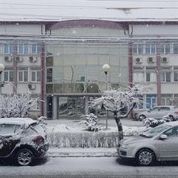 Directia Sanitara Veterinara Si Pentru Siguranta Alimentelor Maramures, Baia Mare program de funcționare