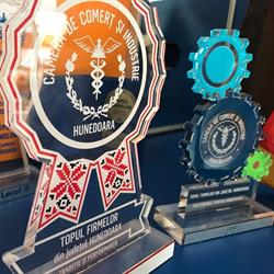S.c. Euroelectric S.r.l., Petroşani program de funcționare