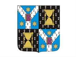 Universitatea Alexandru Ioan Cuza - Facultatea de Istorie, Iaşi program de funcționare