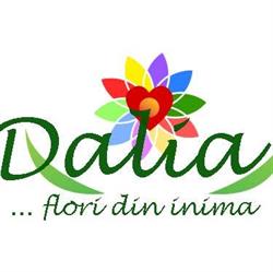 Floraria Dalia Targu Mures, program de funcționare