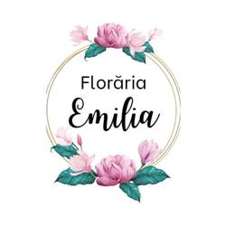 Floraria Emilia Hunedoara, program de funcționare