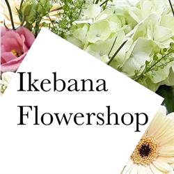 Floraria Prodimpex Ikebana SRL, Târgu Mureş program de funcționare