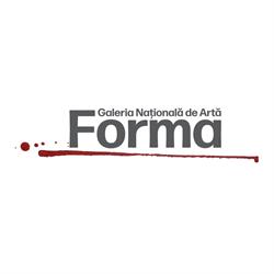 Galeria Forma Deva, program de funcționare