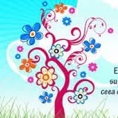Grădiniţa Program Prelungit Nr. 8, Baia Mare program de funcționare