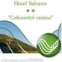 Hotel Salvator, Miercurea-Ciuc program de funcționare